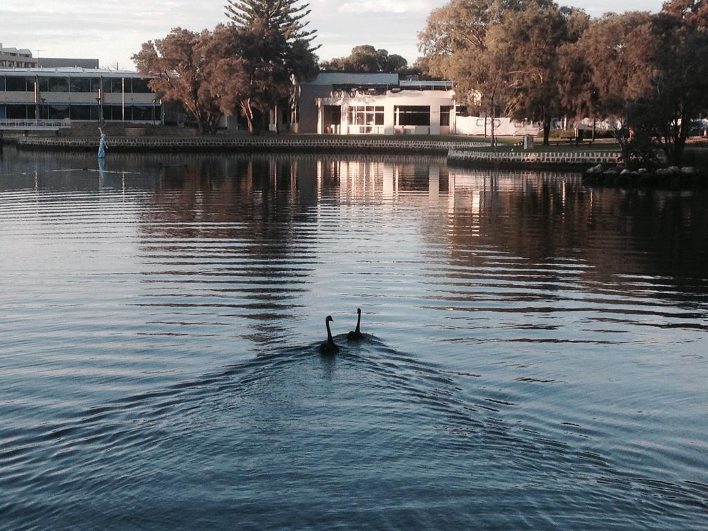 Mandurah Ocean Marina Chalets Eksteriør bilde